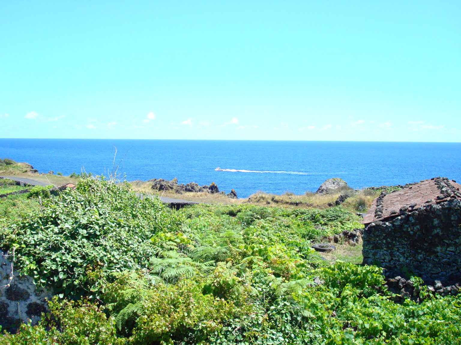 Property for sale Calheta de Nesquim