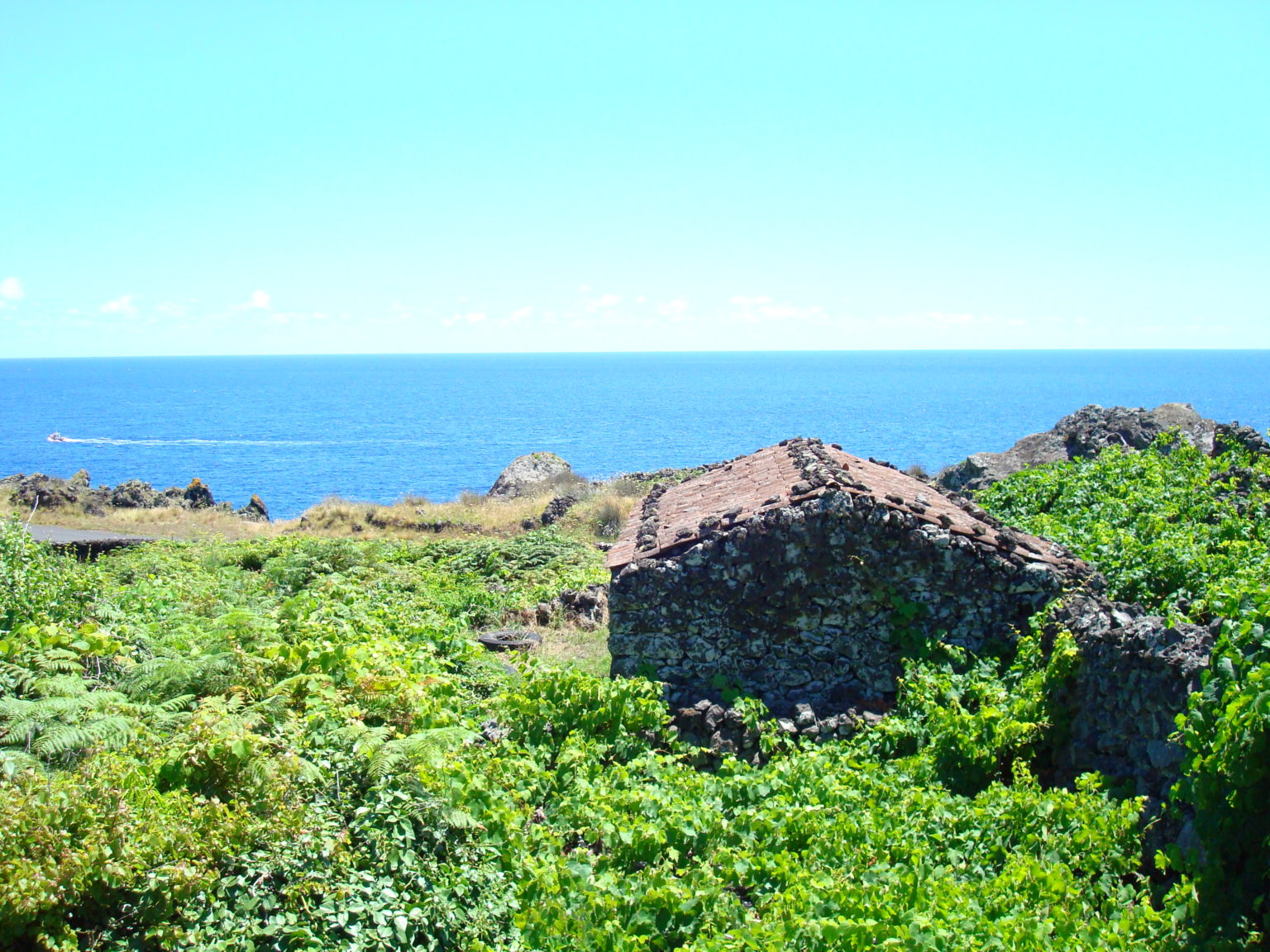 Property for sale Calheta de Nesquim