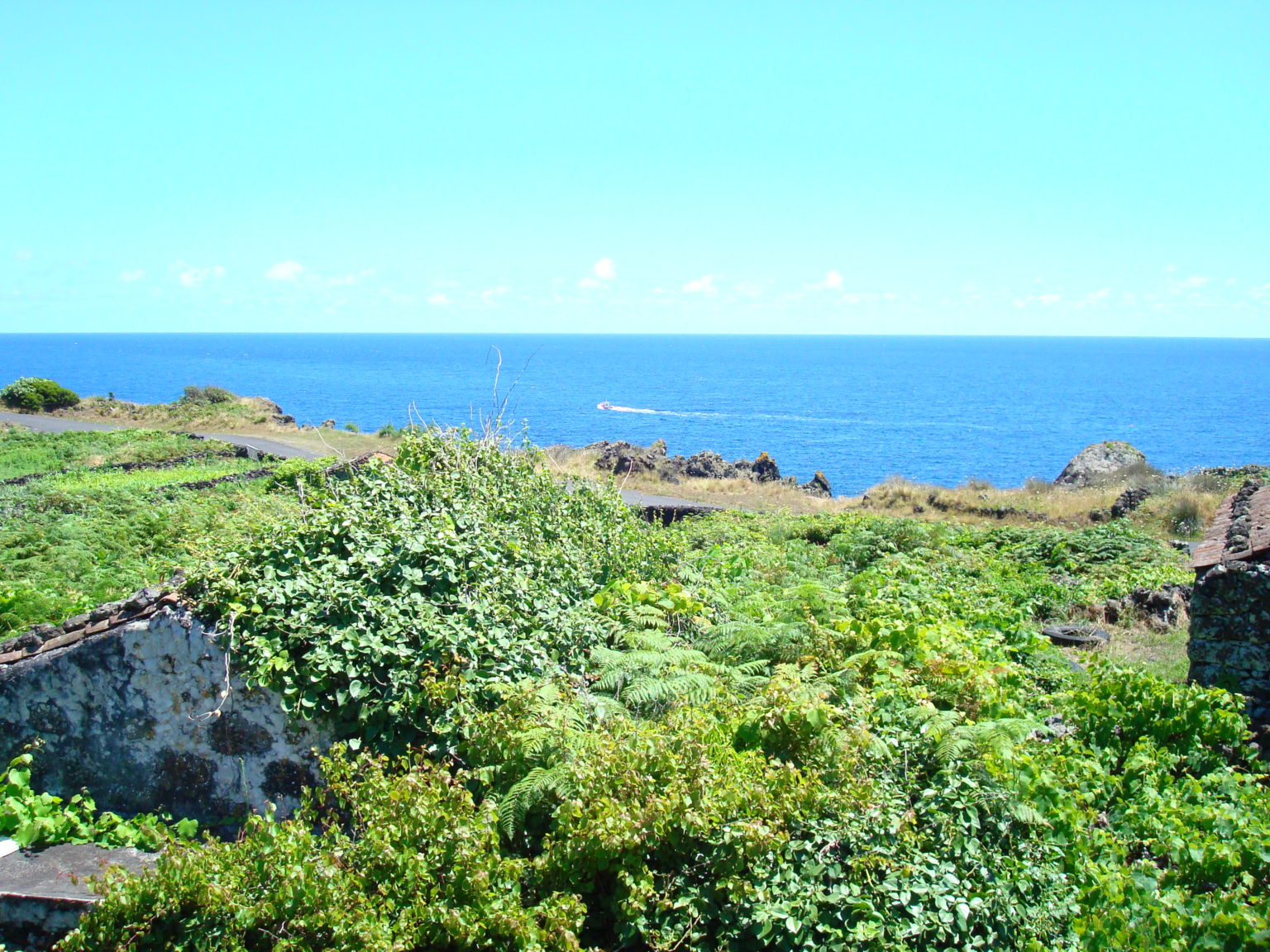 Property for sale Calheta de Nesquim