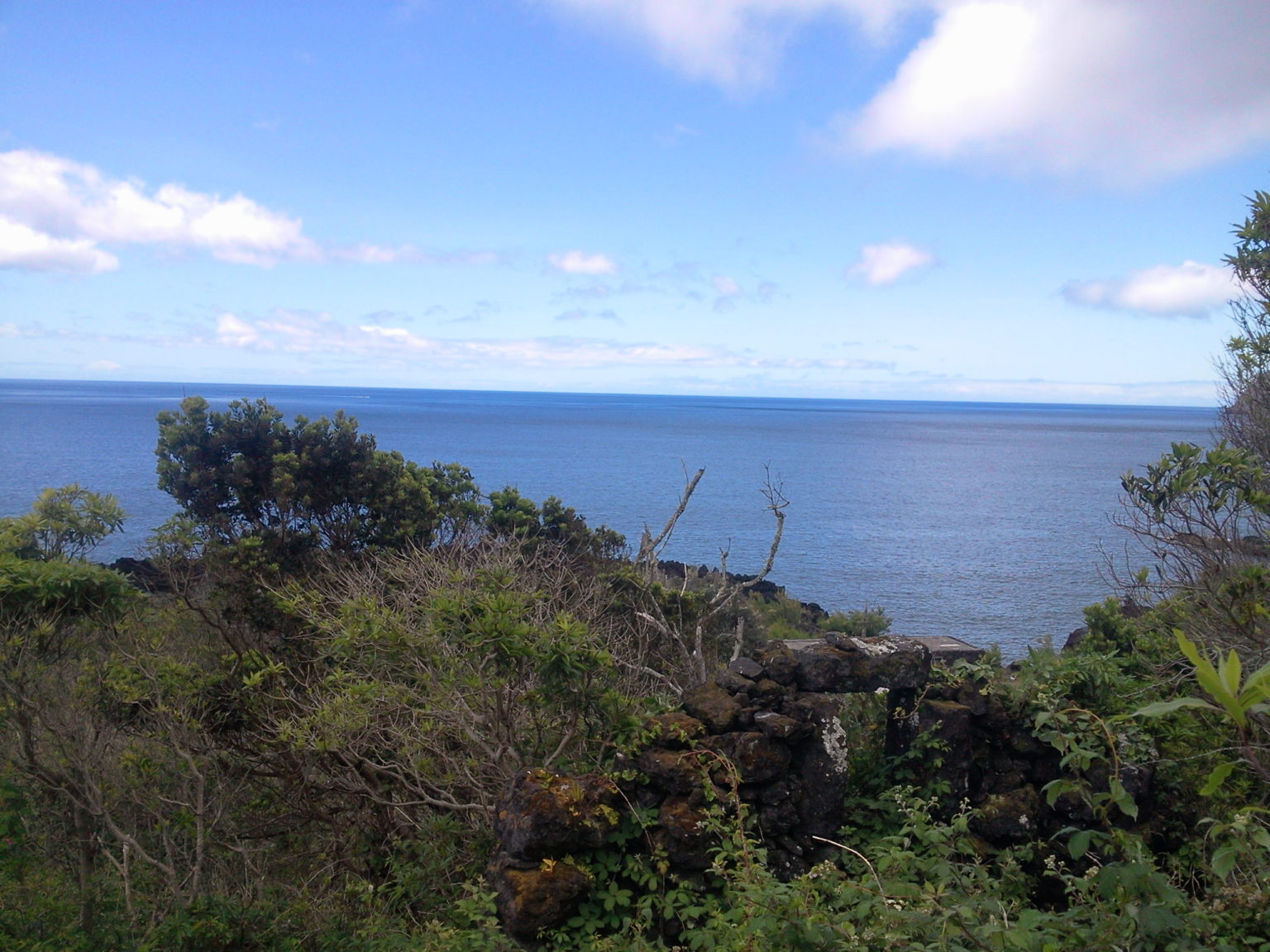 Ruin for sale pico island Photo0434