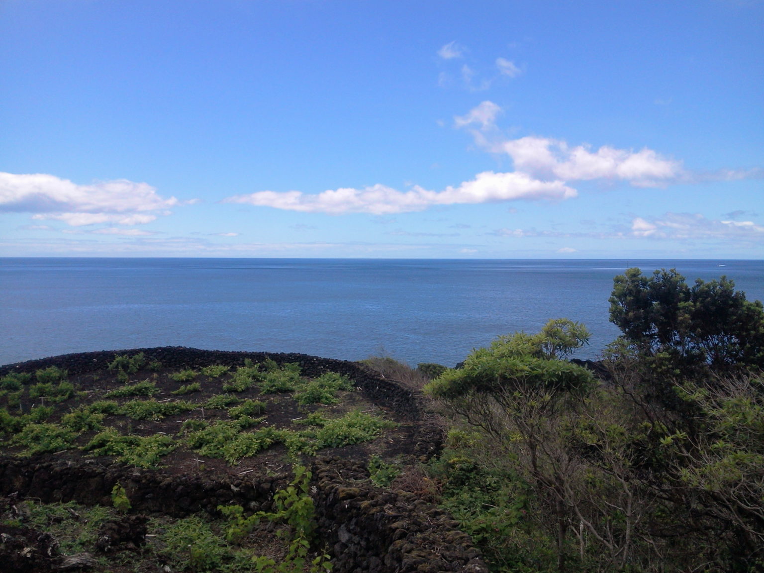 Ruin for sale pico island