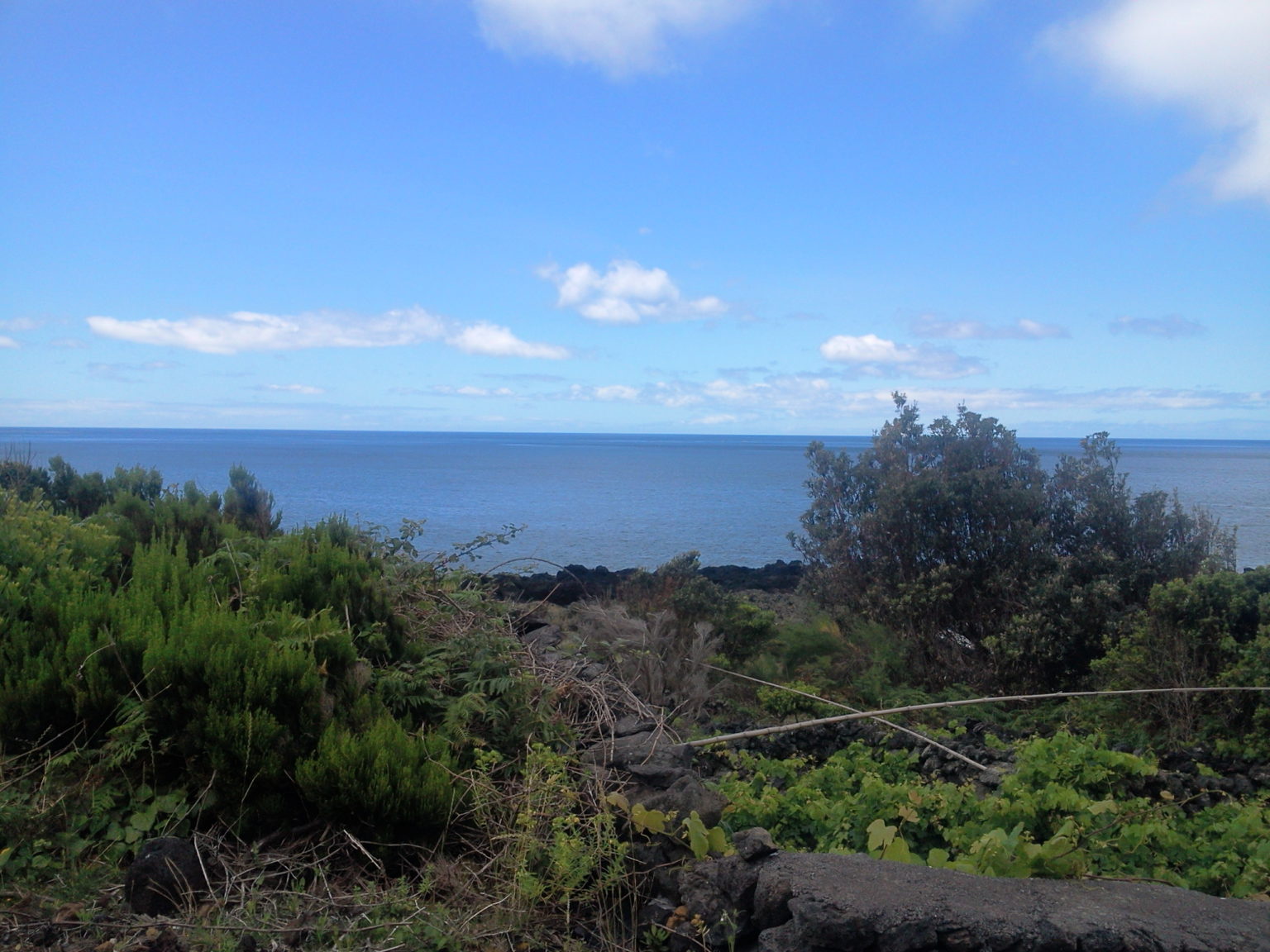 Ruin for sale pico island Photo0443