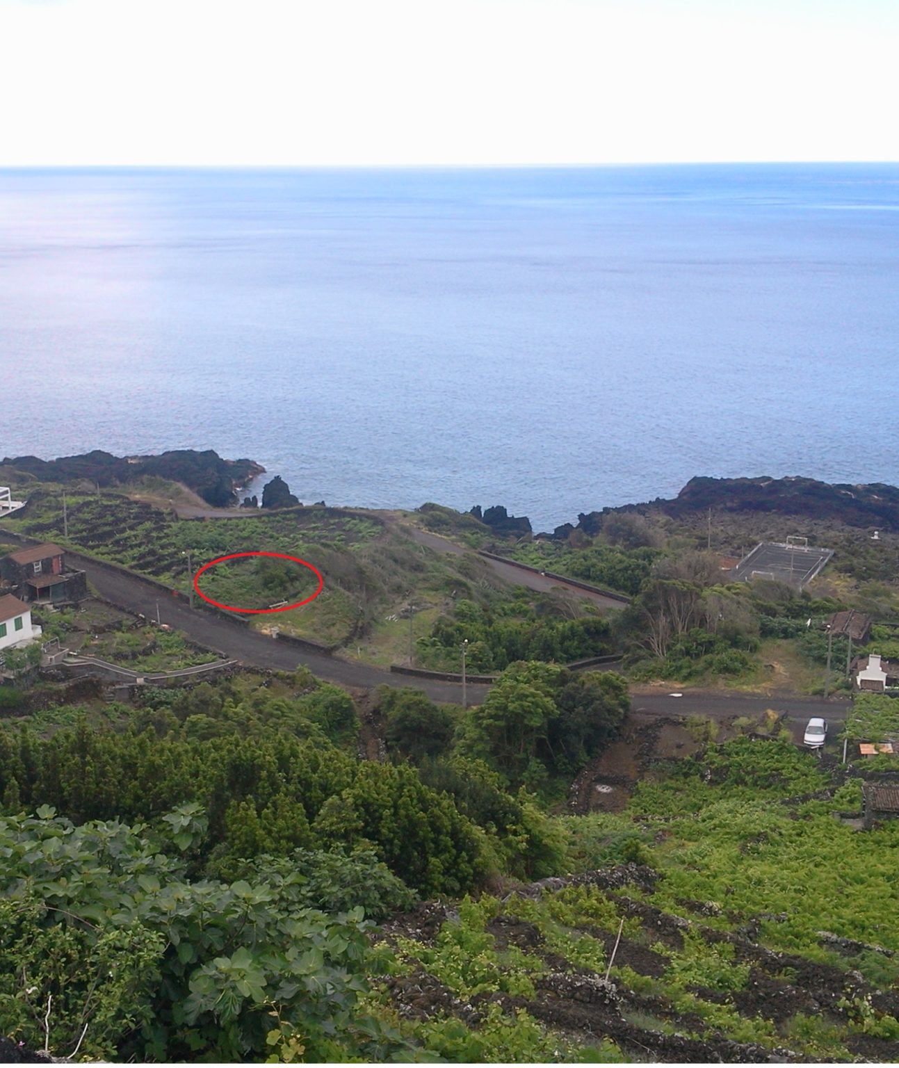 Ruin for sale pico island Photo0445